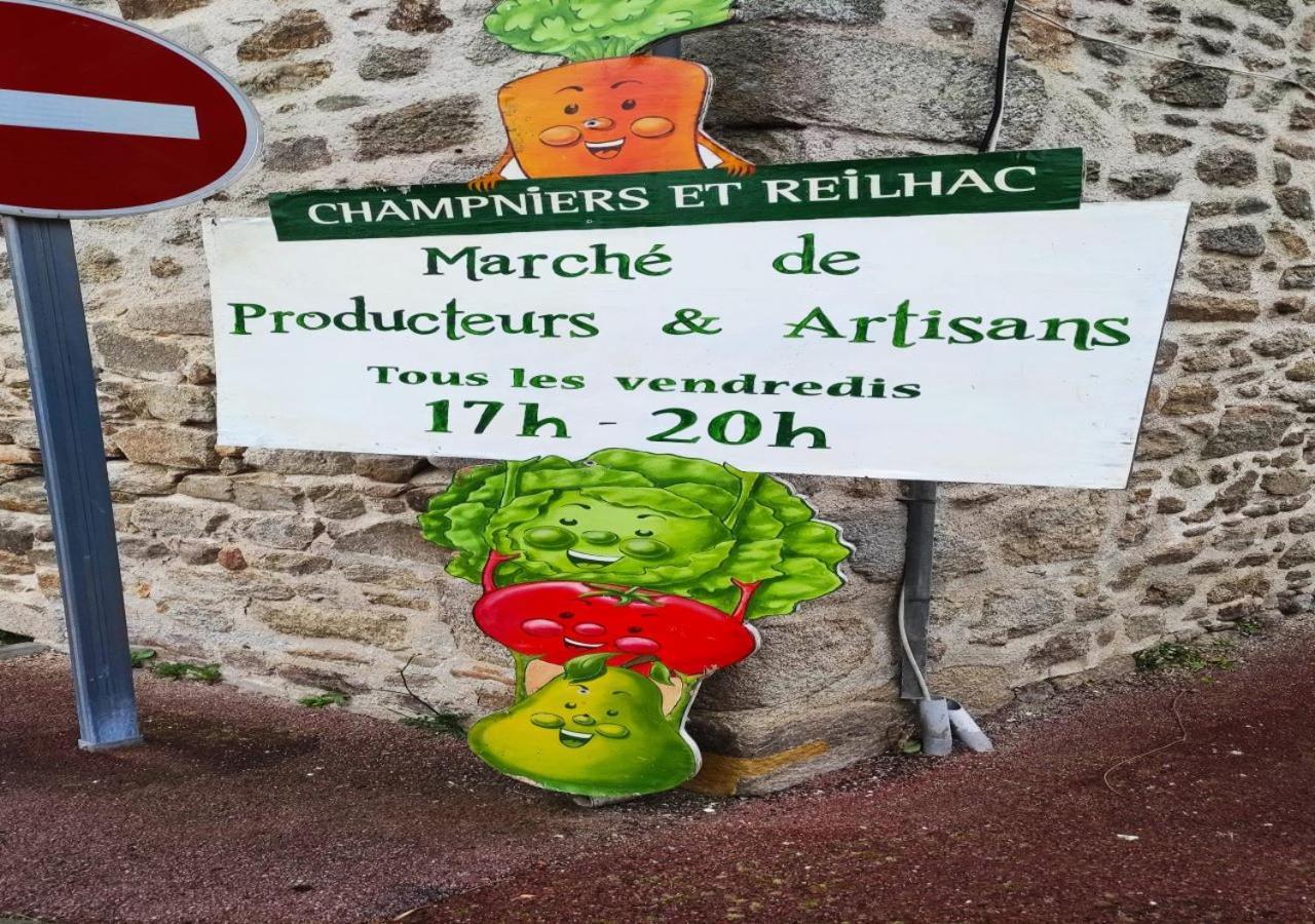 Cap Nature - T4 Et T3 En Perigord Vert - Ideal Pros Et Groupes Max 18P Champniers-et-Reilhac Exteriör bild