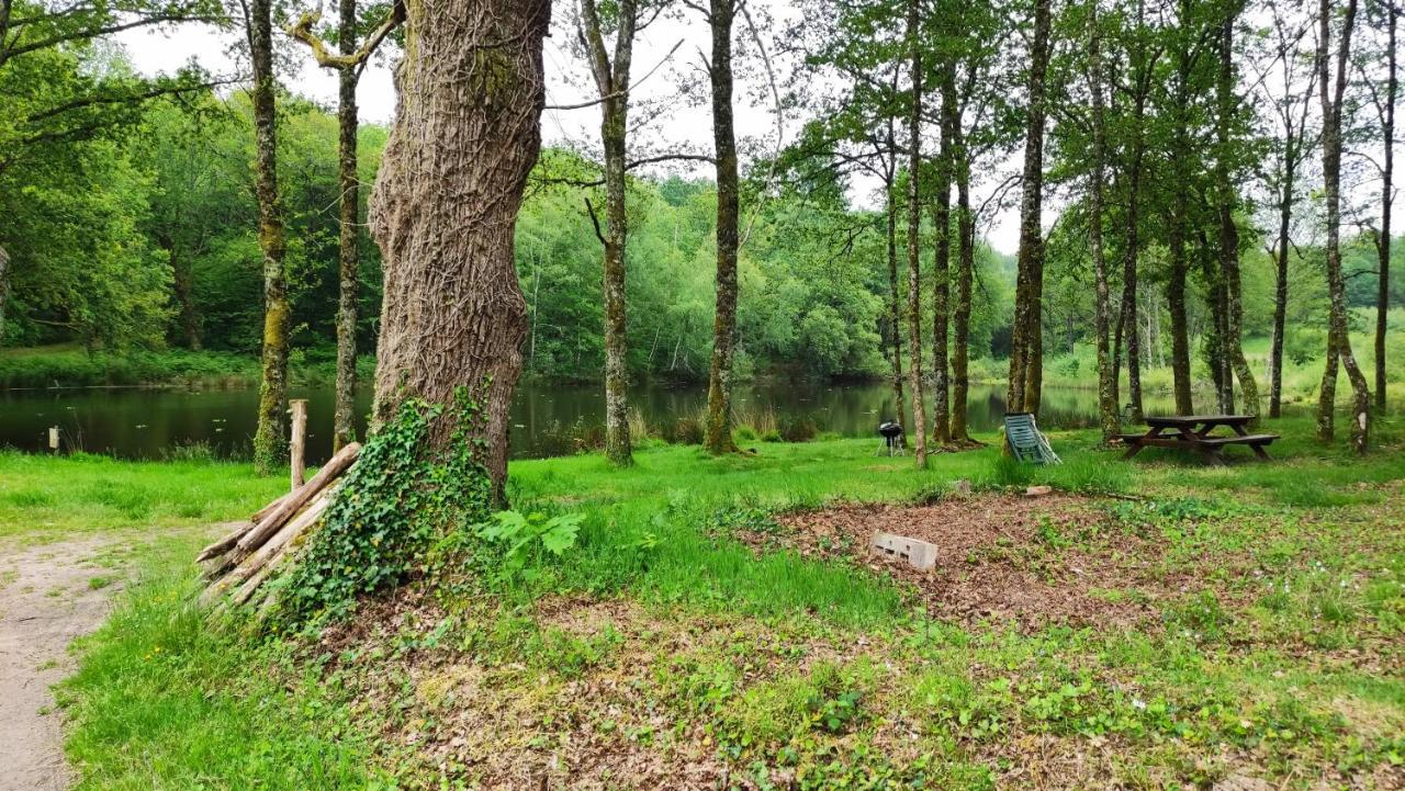 Cap Nature - T4 Et T3 En Perigord Vert - Ideal Pros Et Groupes Max 18P Champniers-et-Reilhac Exteriör bild